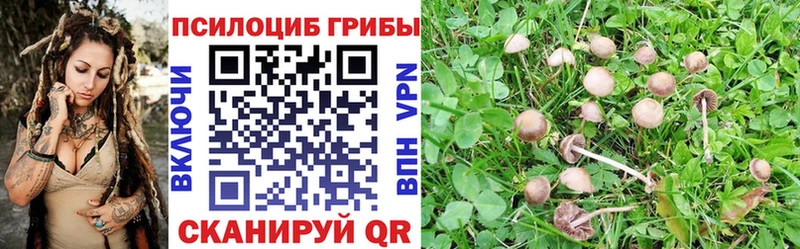 Псилоцибиновые грибы мицелий  гидра как зайти  Пикалёво 